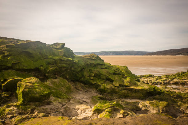 sandy beach with low tide puddles and rocky foreground interest and sand patterns and texture