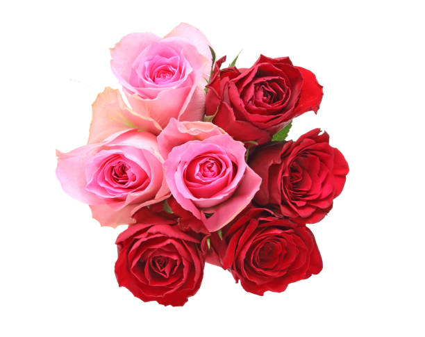 istock Bouquet of roses 658262846