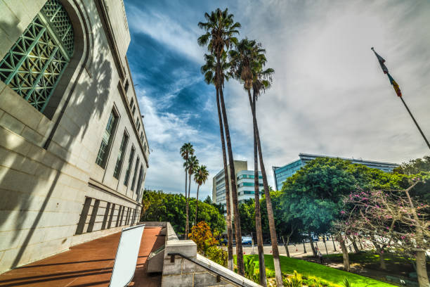 istock Palms in downtown Los Angeles 658266726