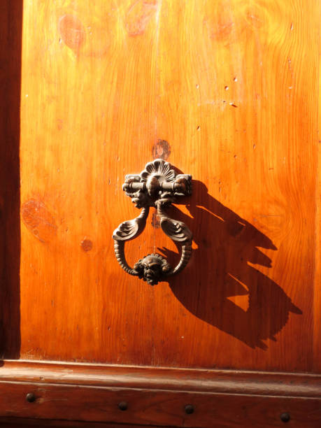 istock Door Knocker in the afternoon light 658274276