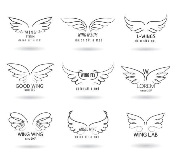 Hand drawn wings logo set. Vector doodle winged icons Hand drawn wings logo set. Vector doodle winged icons. Set of logo with linear wings illustration angels tattoos stock illustrations