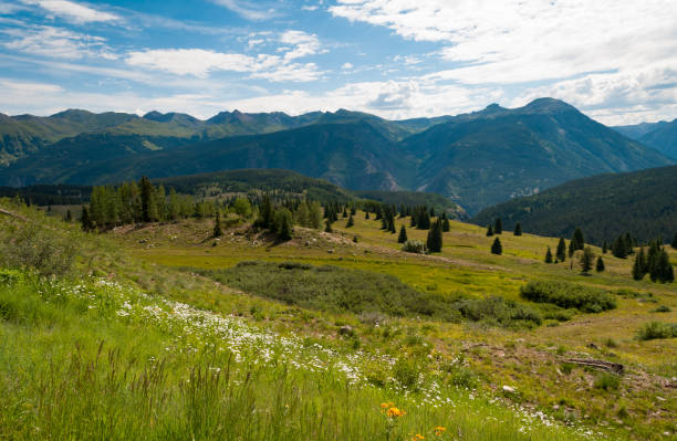istock San Juan National Forest,  Colorado 658280876