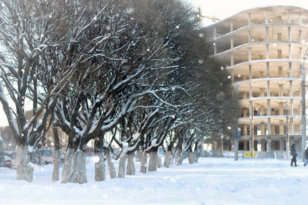 various objects of the winter season and lanscape in the best of this wonderful period