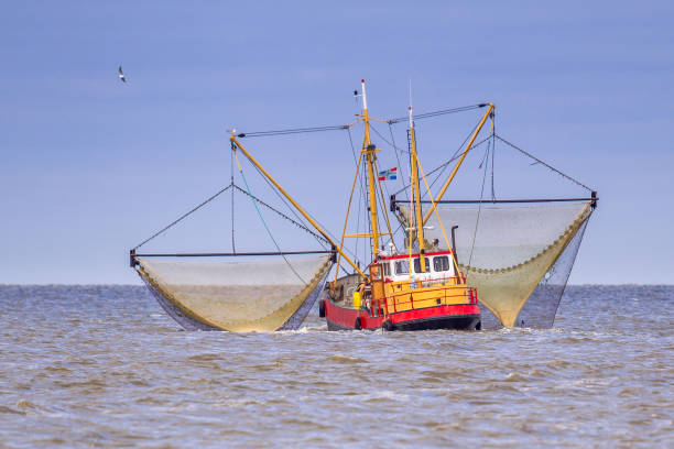820+ Fishing Trawler At Sea Netherlands Stock Photos, Pictures