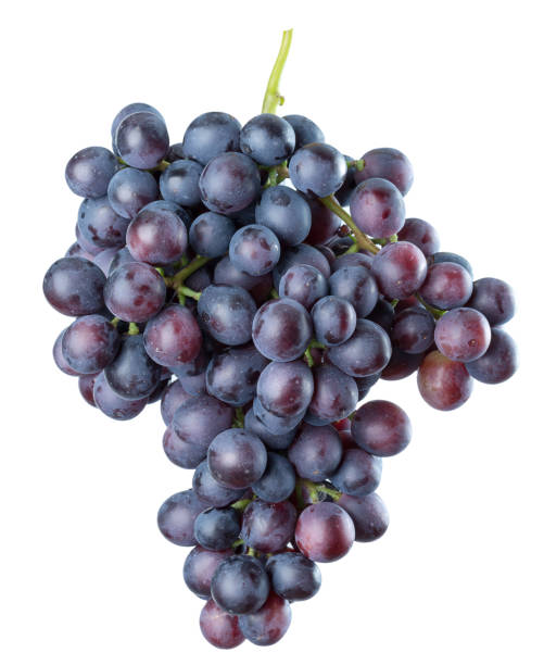istock purple grapes isolated on a white background 658287256