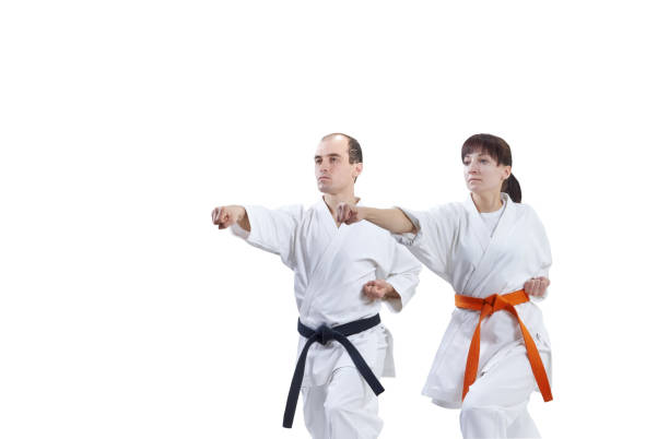 istock Two athletes in karategi are training  punch arm 658288306
