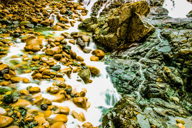 rio inglês cai em parksville, british columbia - englishman river falls - fotografias e filmes do acervo