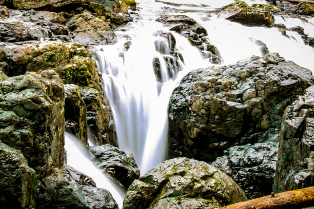 rio inglês cai em parksville, british columbia - englishman river falls - fotografias e filmes do acervo