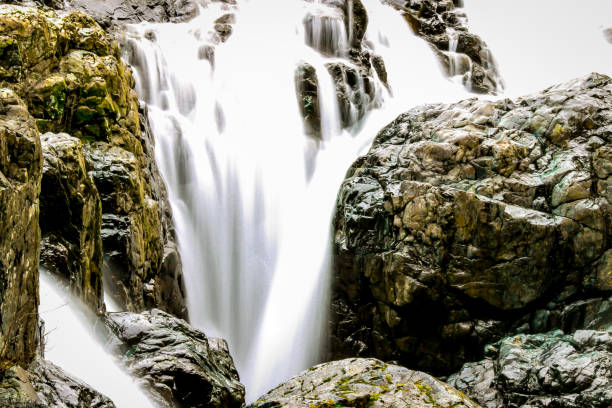 wodospad rzeki anglika w parksville, kolumbia brytyjska - englishman river falls zdjęcia i obrazy z banku zdjęć