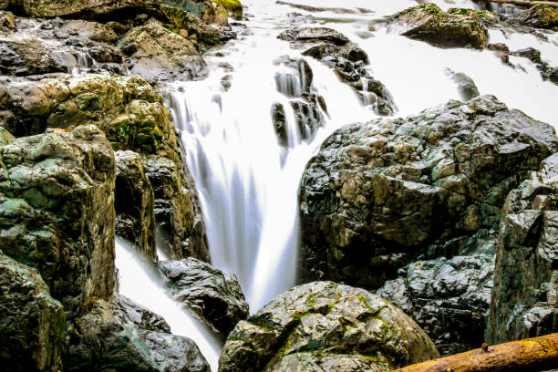 wodospad rzeki anglika w parksville, kolumbia brytyjska - englishman river falls zdjęcia i obrazy z banku zdjęć