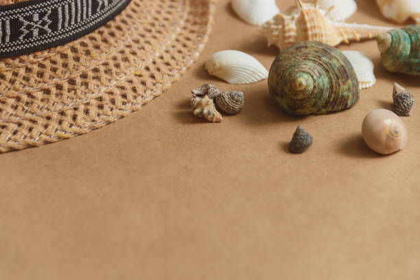 istock Seashells on wooden background with copyspace. travel concept 658291858