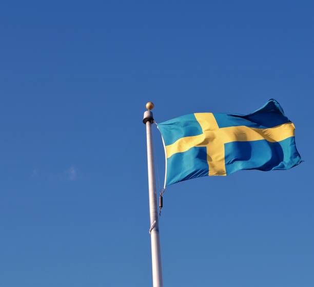 istock Sweden Flag Swedish 658298130