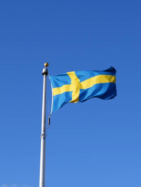 istock Sweden Flag Swedish 658298156