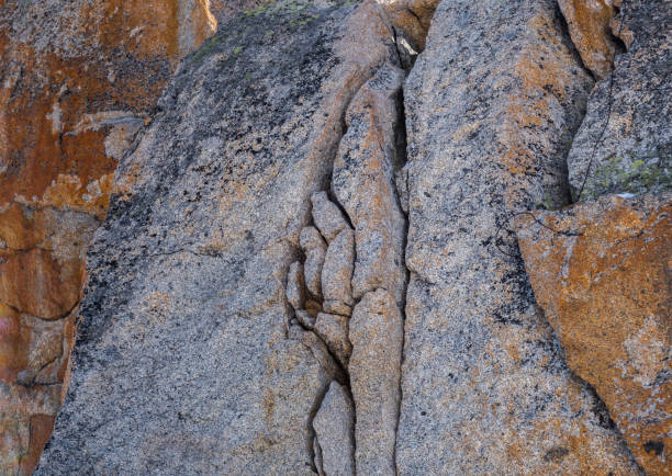 istock Rockface with cracks, veins and multiple colors 658298218