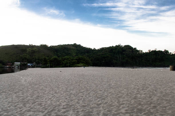 paradise beach - lord howe island - fotografias e filmes do acervo