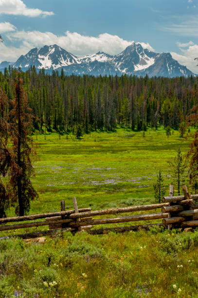 istock Sawtooth Mountains and Meadow, Idaho 658307010