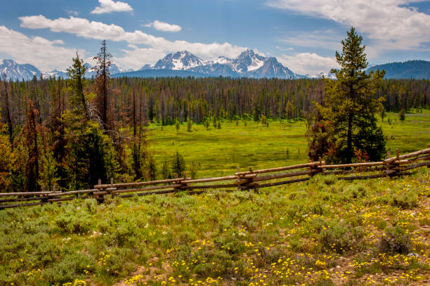 istock Sawtooth Mountains and Meadow, Idaho 658307108