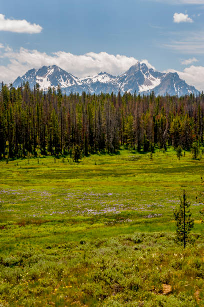 istock Sawtooth Mountains and Meadow, Idaho 658307364