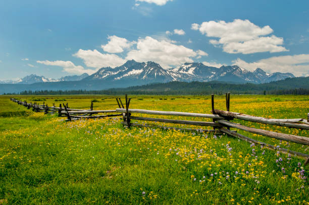 istock Sawtooth Mountains and Meadow, Idaho 658307586