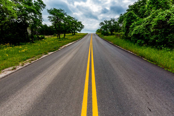 Paved Texas Road with Wildflowers Growing on the Sides on a Cloudy Day.