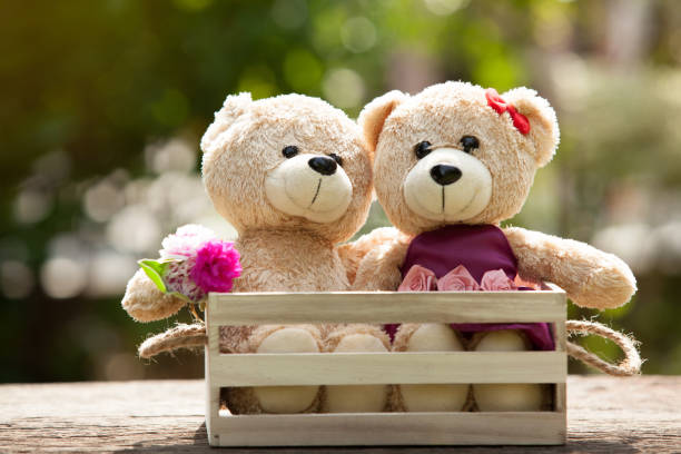 Close Up Lovely Brown Two Teddy Bear In Wooden Box Concept Love