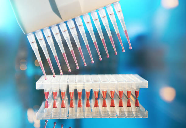 istock Scientific background. Multichannel pipette tips for DNA analysis. 658318018