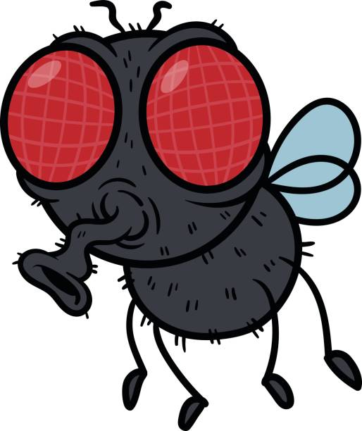 cartoon fly vektor illustration - fly housefly ugliness unhygienic stock-grafiken, -clipart, -cartoons und -symbole