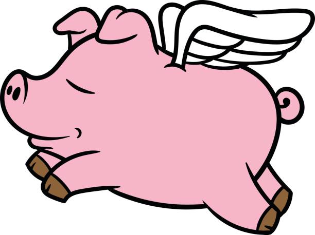 Cartoon Flying Pig Vector Illustration Stok Vektör Sanatı & Domuz'nin Daha  Fazla Görseli - Domuz, Uçmak, Hayvan Kanadı - iStock