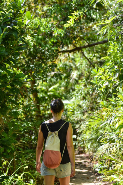 istock woman walking along a path through a thick green jungle 658318682