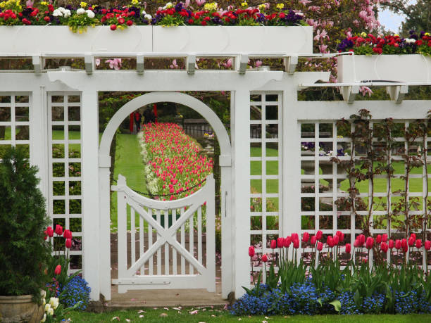 istock White gate to the formal garden with spring blooming tulips 658319088