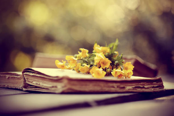 istock Old open book and bouquet of buttercups. 658322196