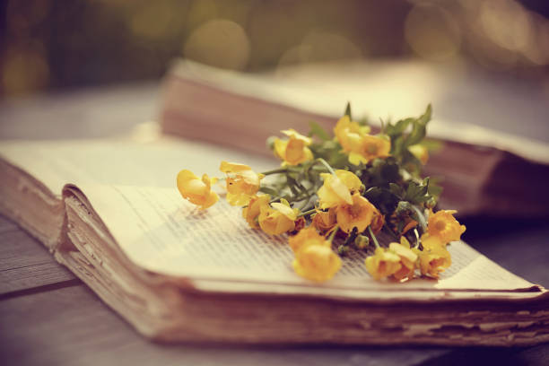 istock Old open books and yellow buttercups 658322236