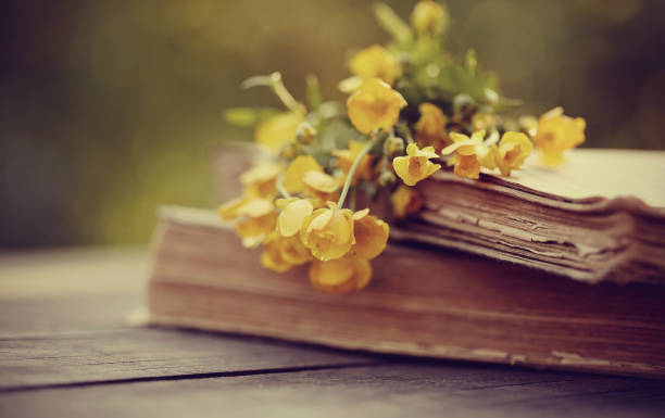 istock Buttercups on old books on a wooden table. 658322360