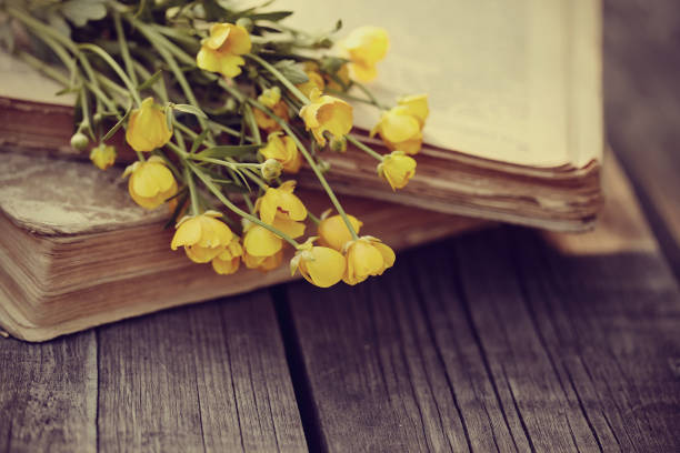 istock Old open books and buttercups on a wooden table. 658322398