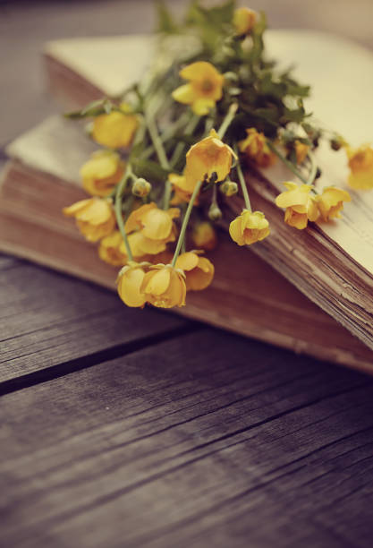 istock Old books and buttercups on a wooden table. 658322420