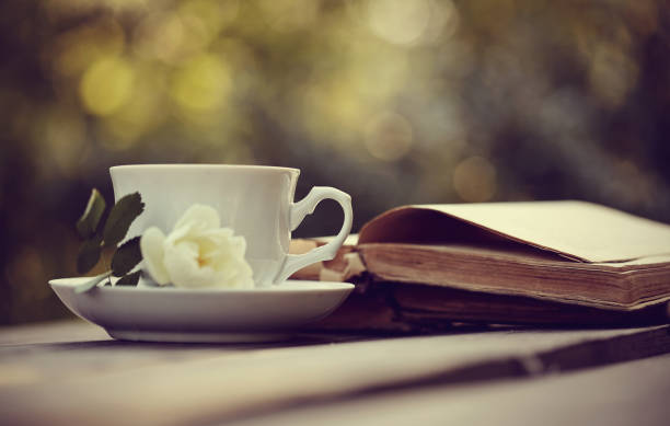 istock Old open books and a cup with a white wild rose 658322510