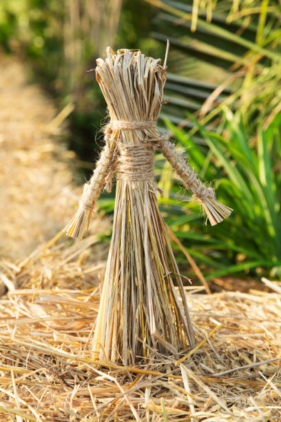 Strawman Stock Photos, Pictures & Royalty-Free Images - iStock