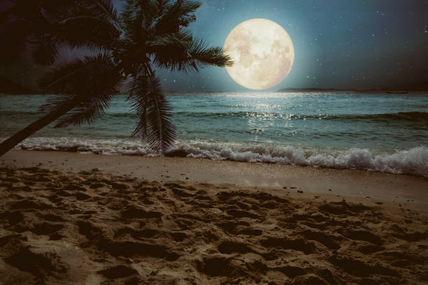 beach at night Beautiful fantasy tropical beach with star and full moon in night skies (seascape) - Retro style artwork with vintage color tone fantasy moonlight beach stock pictures, royalty-free photos & images