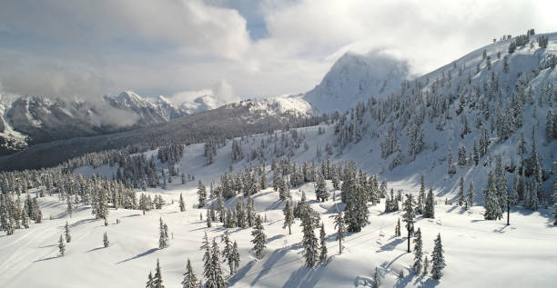 vue aérienne de mount baker ski area - mont shuksan photos et images de collection