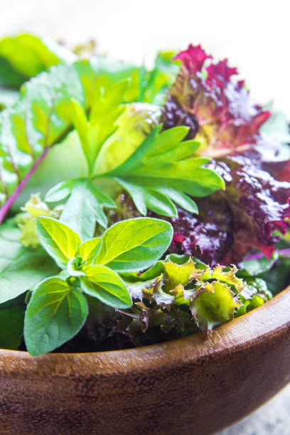 istock green mixed salad leaves 658351038