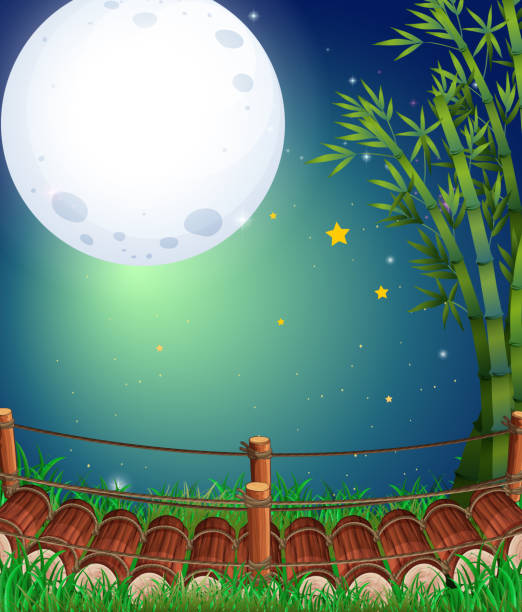 Scene with fullmoon in the sky Scene with fullmoon in the sky illustration bamboo bridge stock illustrations
