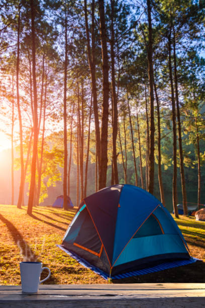 istock Cup of coffee in tent with forest sunrise view 658358338