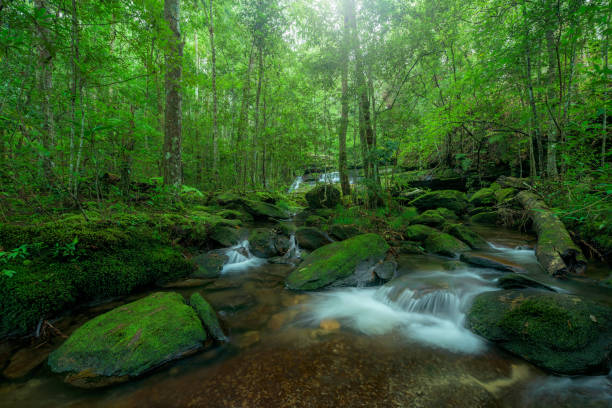 istock Waterfall in rainforest at National Park, Thailand 658358374