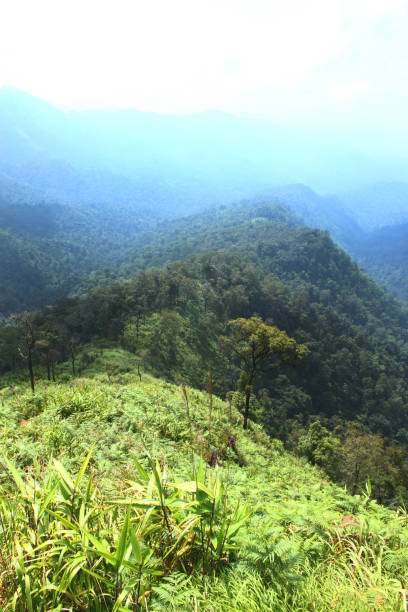 istock landscape of mountains 658359944