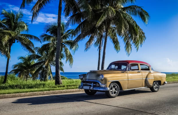 American golden vintage car drives under palms in Varadero Cuba stock photo