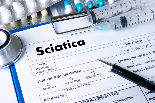 istock Sciatica doctor hand working Professional Medical Concept 658368012