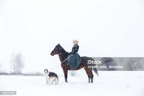 Horsewoman On The Reconstruction Of Dog Hunting Stock Photo - Download Image Now - Adult, Animal, Belarus