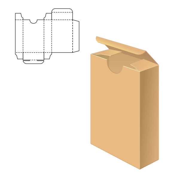 Box Template vector Vector Illustration of Clear Gift Carton Box for Design, Website, Background, Banner. Package Template isolated on white. Retail pack with for your brand on it box dieline drawings stock illustrations