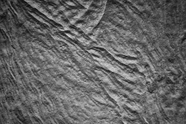 istock black and white abstract background texture faux leather with space for text 658375696