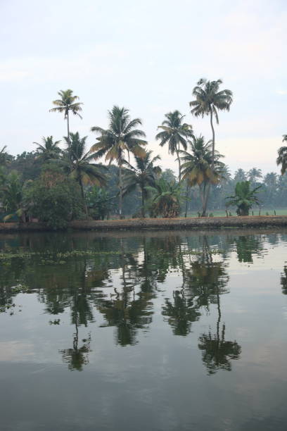 istock Kerala backwaters,alleppey, Kerala, India 658375944
